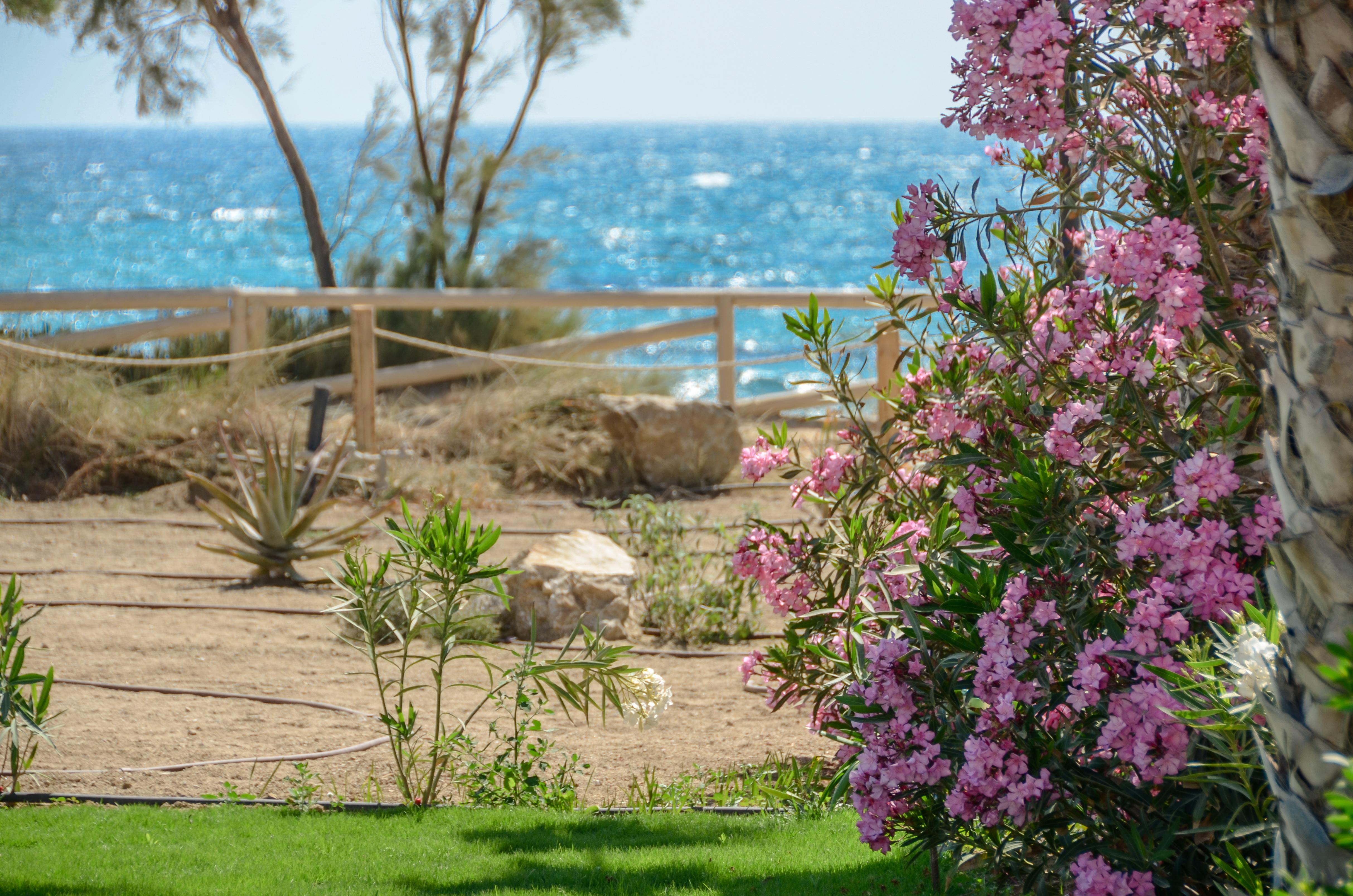 Glaronissi Beach Maragkas Exterior photo
